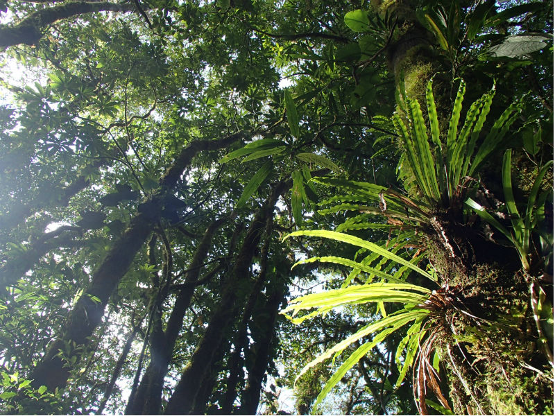 あそび　の由来